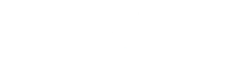 Bahigo logo transp