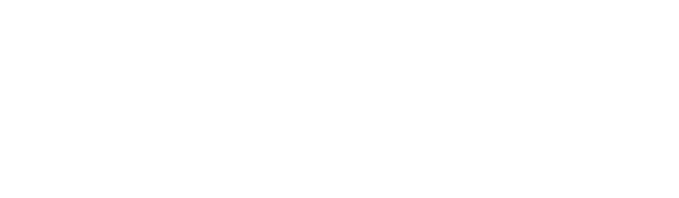 Wettigo logo white