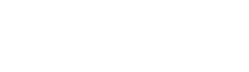 Wettigo logo white